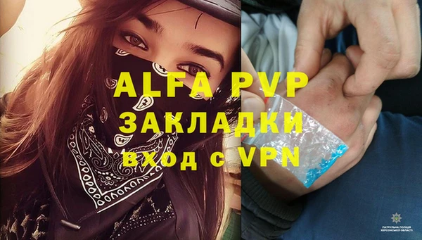 спиды Аркадак