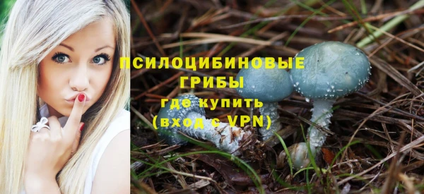 mix Арсеньев