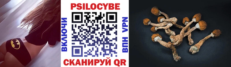 omg маркетплейс  как найти закладки  Михайлов  Псилоцибиновые грибы Cubensis 