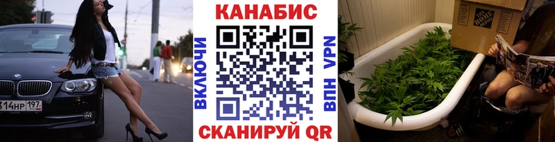 дарк нет телеграм  Михайлов  Каннабис план 